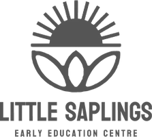 Little Saplings Early Education Centre